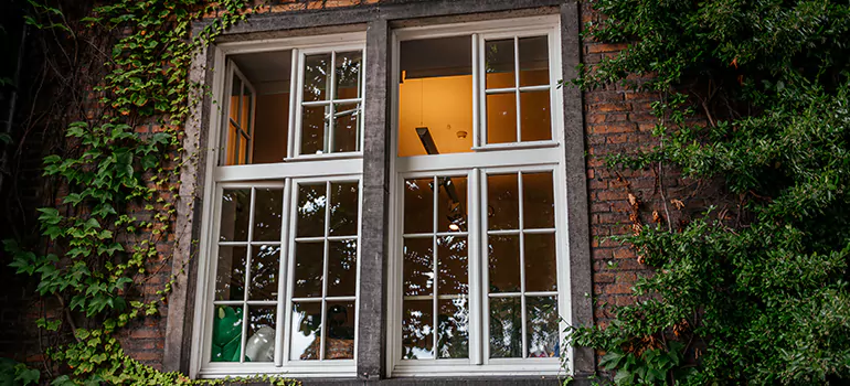 Energy Efficient Wood Windows in Orlando, FL