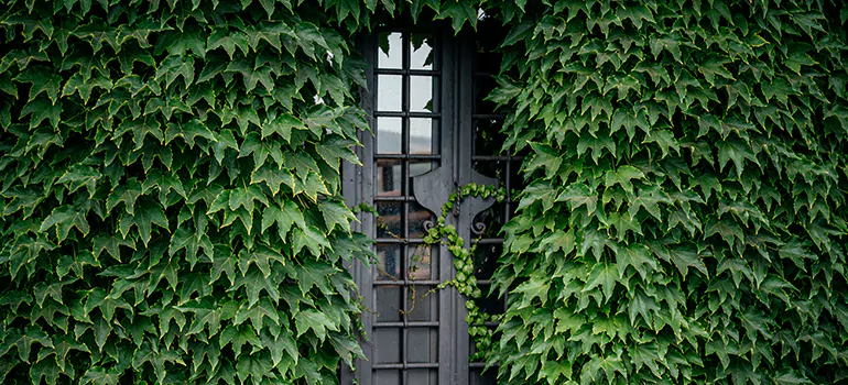 Garden Gate Repair in Orlando, FL