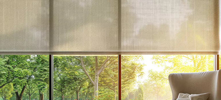 Custom Window Shades in Orlando, FL