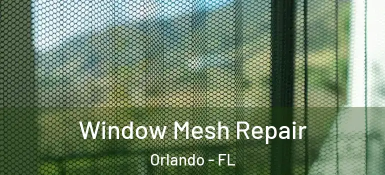  Window Mesh Repair Orlando - FL