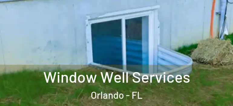  Window Well Services Orlando - FL
